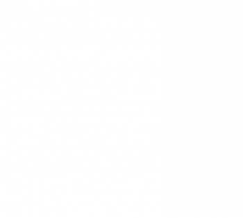 PNNG White Logo